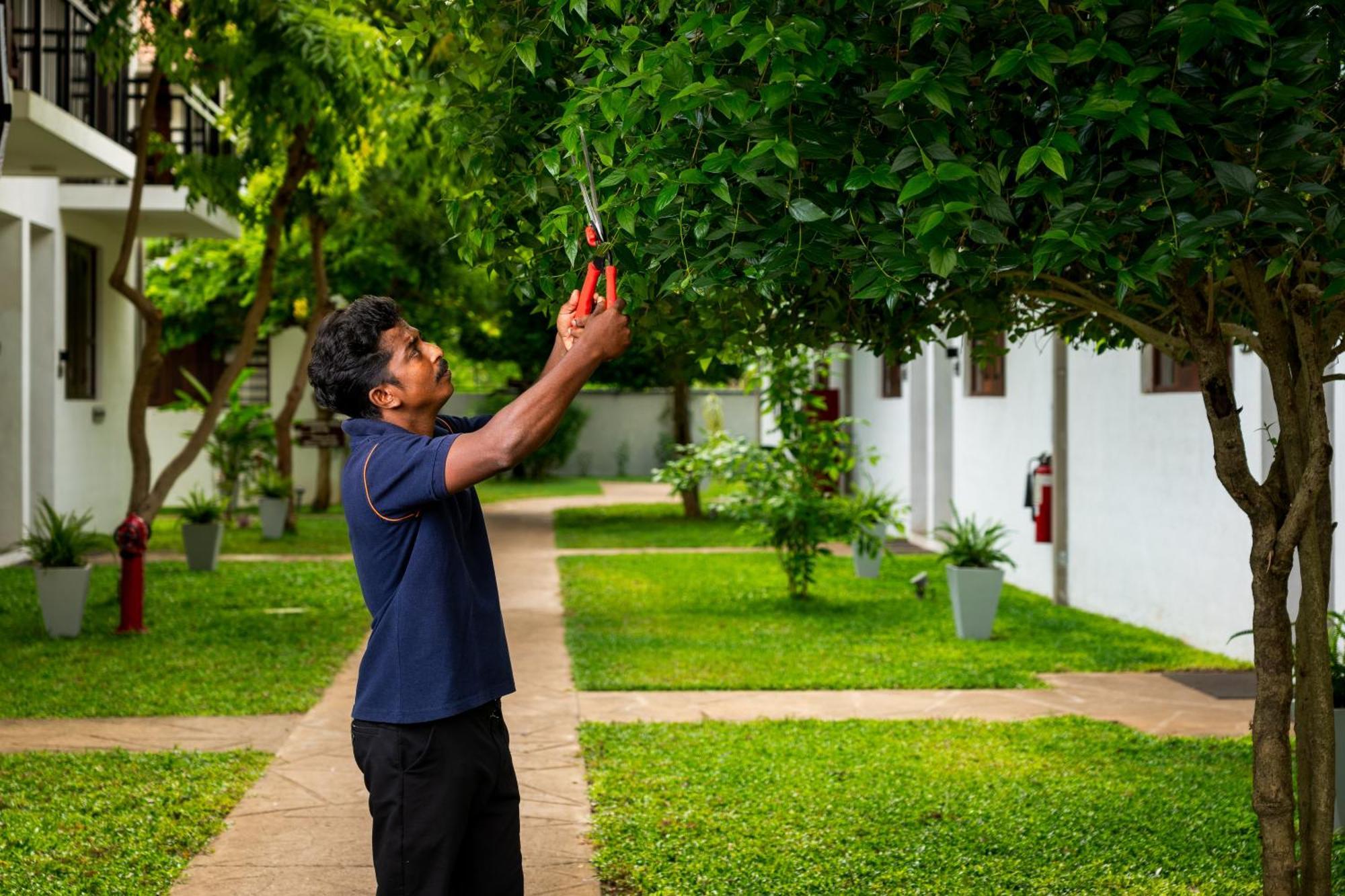 The Thinnai - All-Suites Boutique Hotel Jaffna Luaran gambar